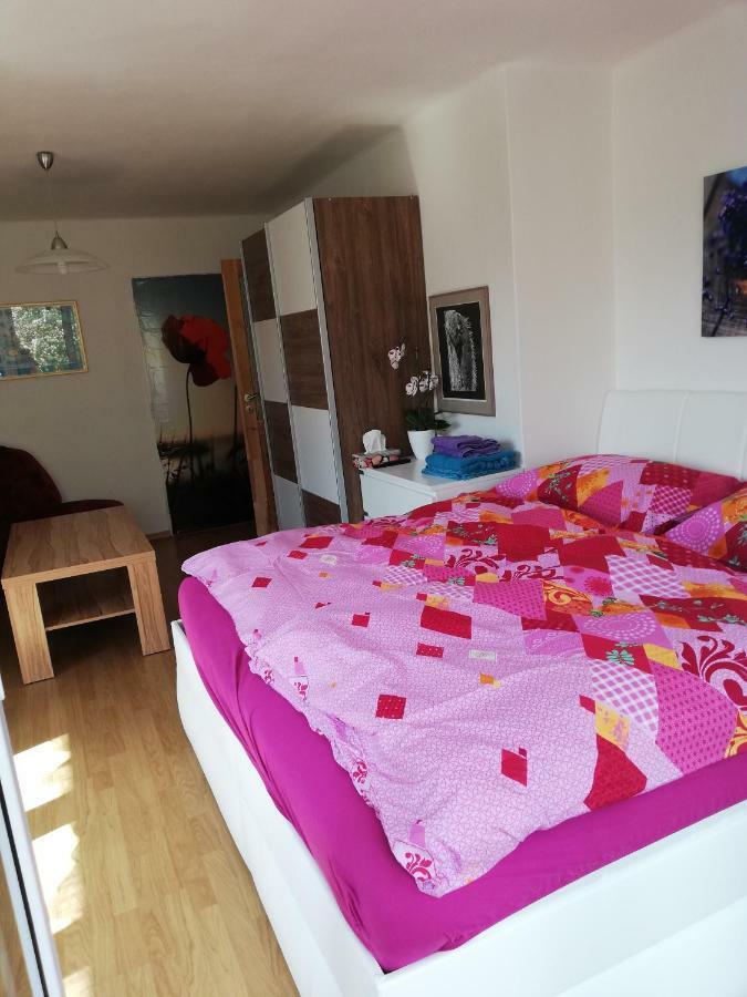 Penzion Kuku Český Krumlov Extérieur photo